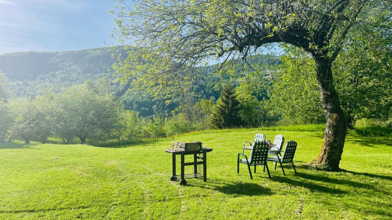 Chalet Meuselotte, A Bussang Dans Les Vosges Villa Exterior photo
